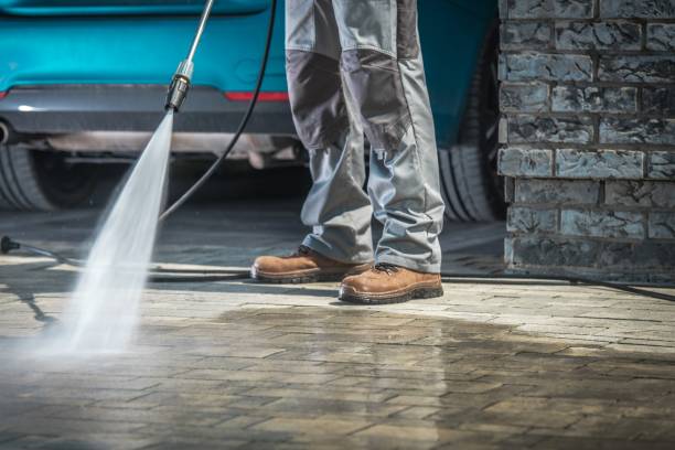 Best Roof Cleaning and Mildew Removal in Monroe, WI