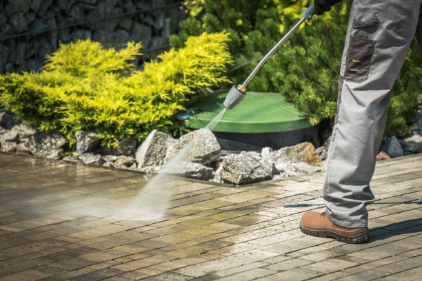 Best Fence Cleaning and Maintenance in Monroe, WI