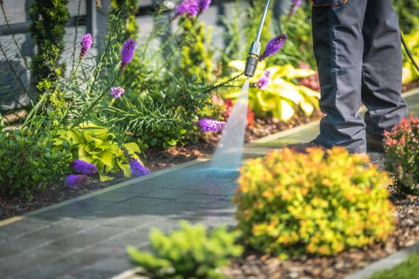  Monroe, WI Pressure Washing Pros